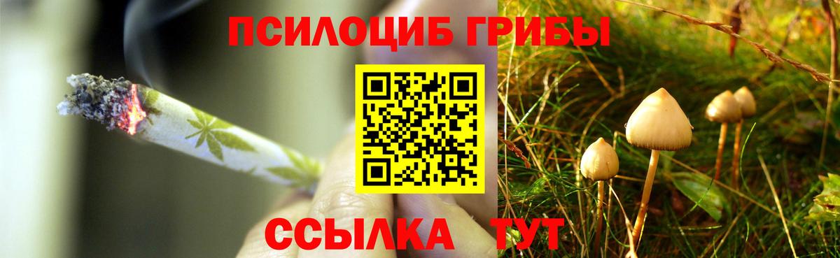Псилоцибиновые грибы Magic Shrooms  Вход с VPN  Беслан 